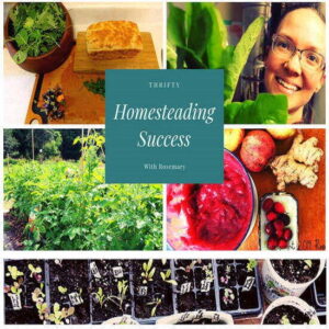 Finding Thrifty Homesteading Success through Creative Problem-Solving Image